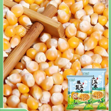 �|�����׻��������l5���b�����������̼��Լ����ӰԺ����ԭ��