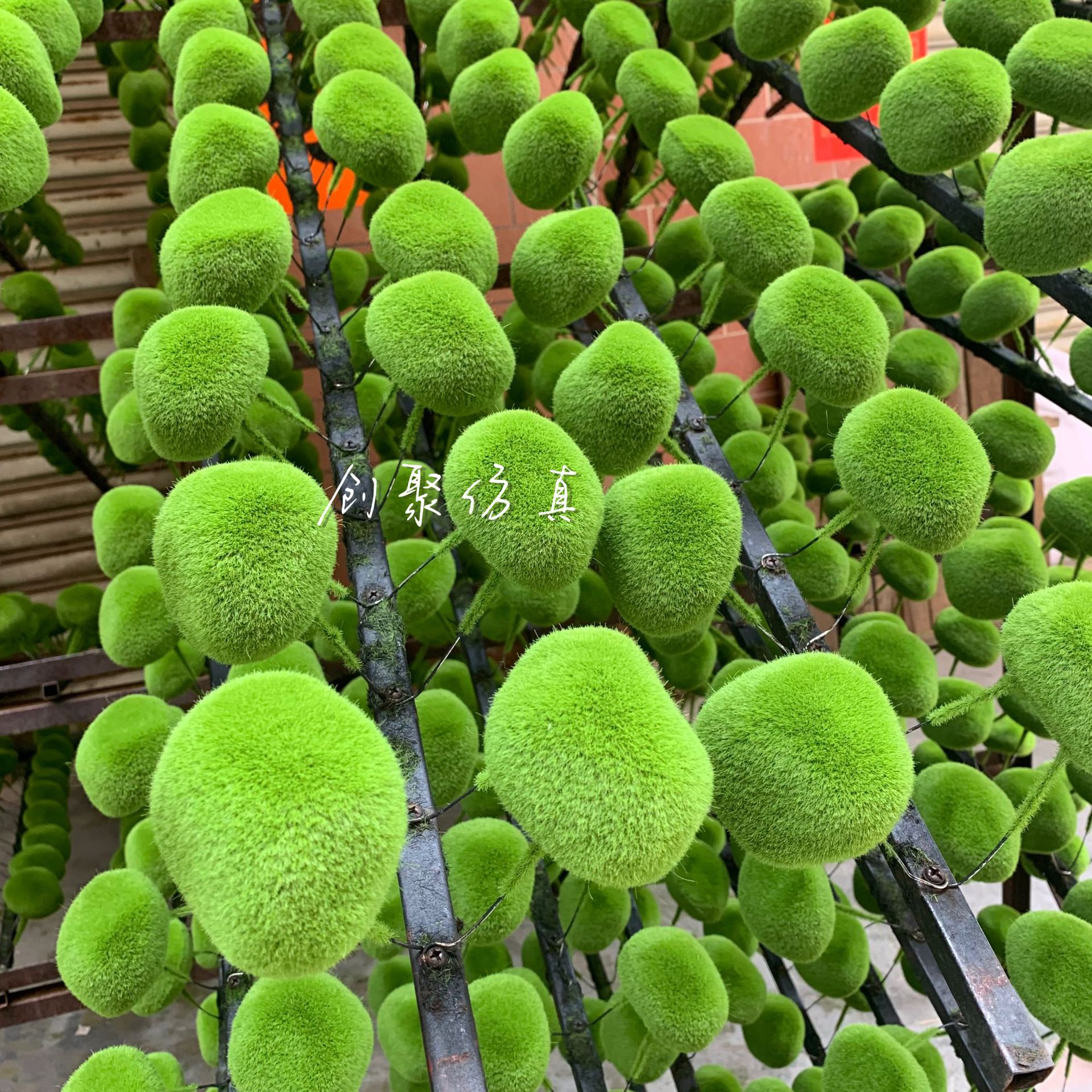 创聚产品