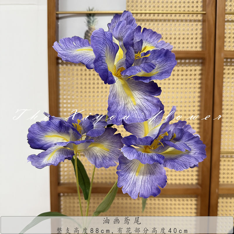 유화 아이리스-퍼플 오키드