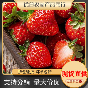 ���|99��ݮ���r����ˮ�����ʹ���|�ۼt�ţ�̲�ݮ��S���]���ݮ