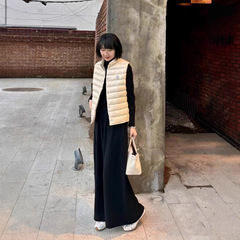高版本25年秋冬款Igens修身横纹立玲女士羽绒马甲上衣