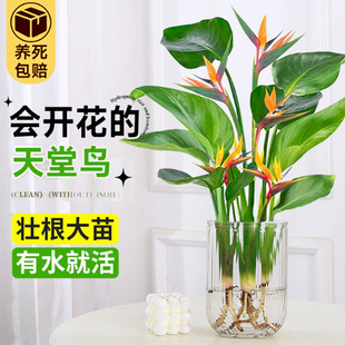 ˮ�������B�������汱�W�^�~�ļ�����ֲ���҃ȴ��~ˮ�B��ꎿ͏d