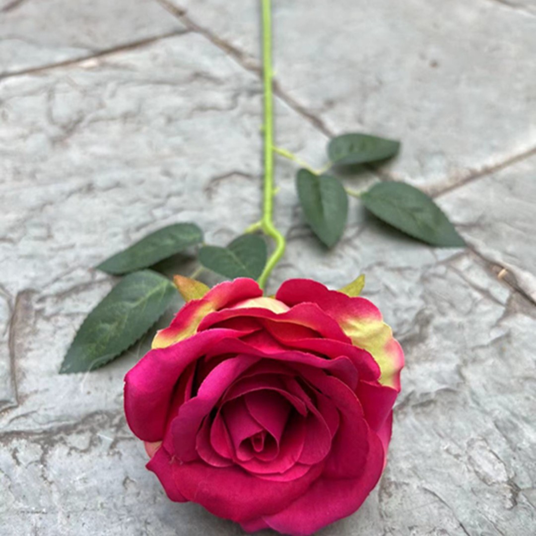 Una sola cabeza Ruyi Rose