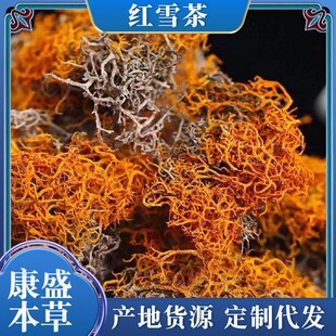 �tѩ�����lɢ�b������؛�o���z�tѩ������ă��tѩ����N��ș��