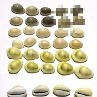 100ֻ��Ȼ��ɫ���� ��߅���� �����߅���� diy����朲��ϰ�
