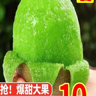 �������G�īJ�������r���]10�����r���殐�������ЋDˮ������
