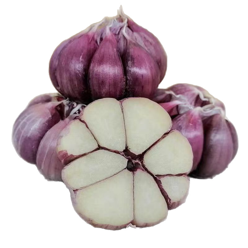 时令农家新鲜蔬菜