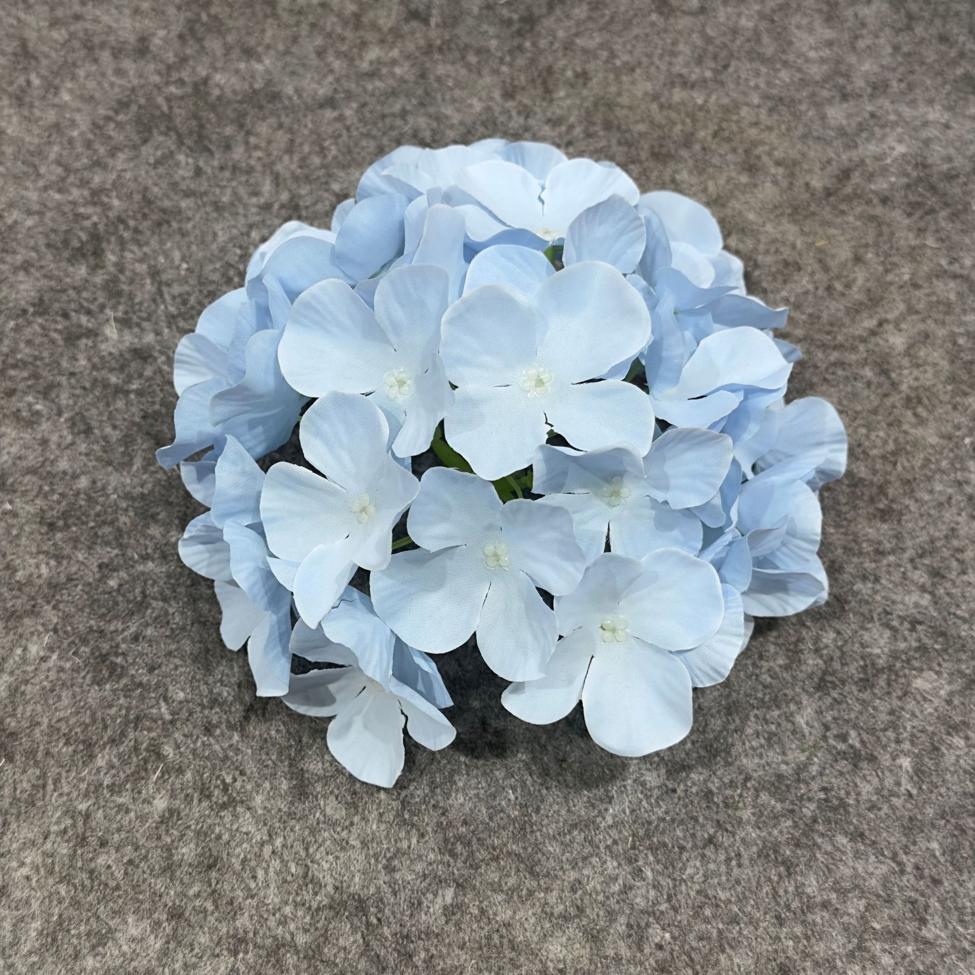 수국 꽃 머리 하늘색