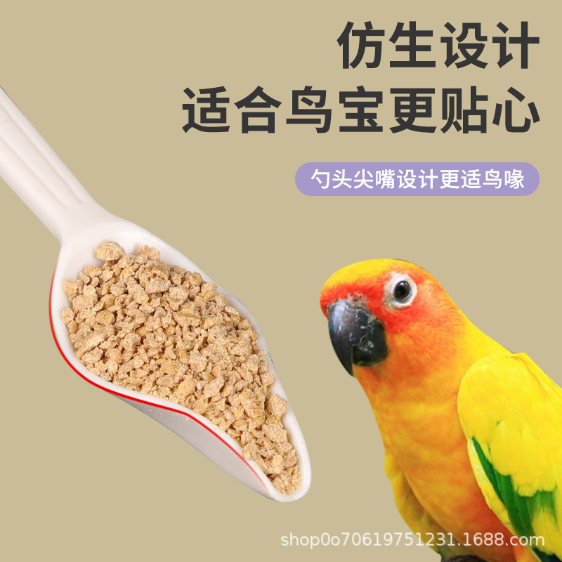 Large parrot feeding spoon for young birds with small spoon for…
