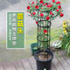 Cross-border Spliced Umbrella Climbing Rack Rose Climbing Rack Garden Plant Climbing Rack Iron Flower Stand