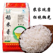 新米新鲜大米5kg斤2.5kg批发价农家长粒香米不抛光源工厂一件批发