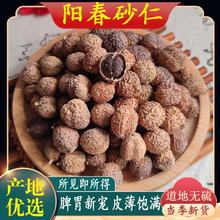 ����ꖴ���ɰ��Ұ����ɳ�ʴ�ɰ�ʸɹ�ꖴ��خaș����ˮ���Ҝ�����