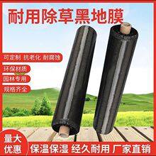农用黑色除草塑料薄膜黑地膜果园大棚蔬菜防盖草防草莓种植保温湿