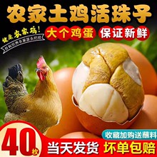 40ö���������r13������ζ�_����ʳ����ë����������ë�u��䓻���