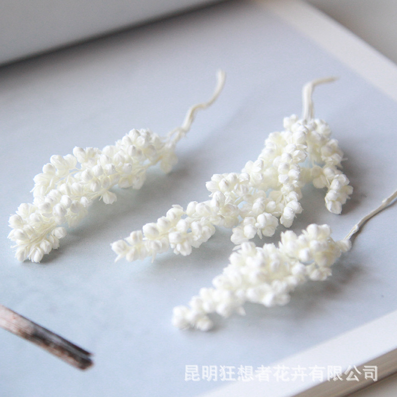 Cành cao lương trắng đóng hộp (hộp 40g]