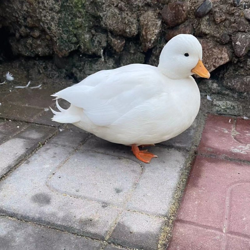 b67468c1c3050238852a15d6fcfc2a