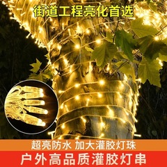 屋外LEDストリングライト、高輝度防水、接着剤充填、クリスマス装飾ストリングライト、星空、ホリデー雰囲気、カラフルライト、屋外用