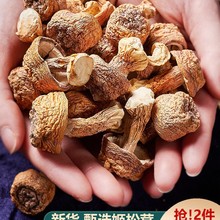 2025云南深山姬松茸干货巴西菇天然高原种植菌菇原料250g散装