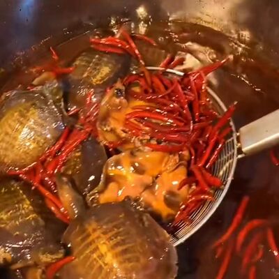 麻辣甲魚香辣即食小甲魚當季爆款網紅美食現殺現鹵團魚廠家批發批發