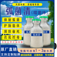 ������ױ㠀�w��Ƥԭ��ˮ�a��Ч��������������������l��������