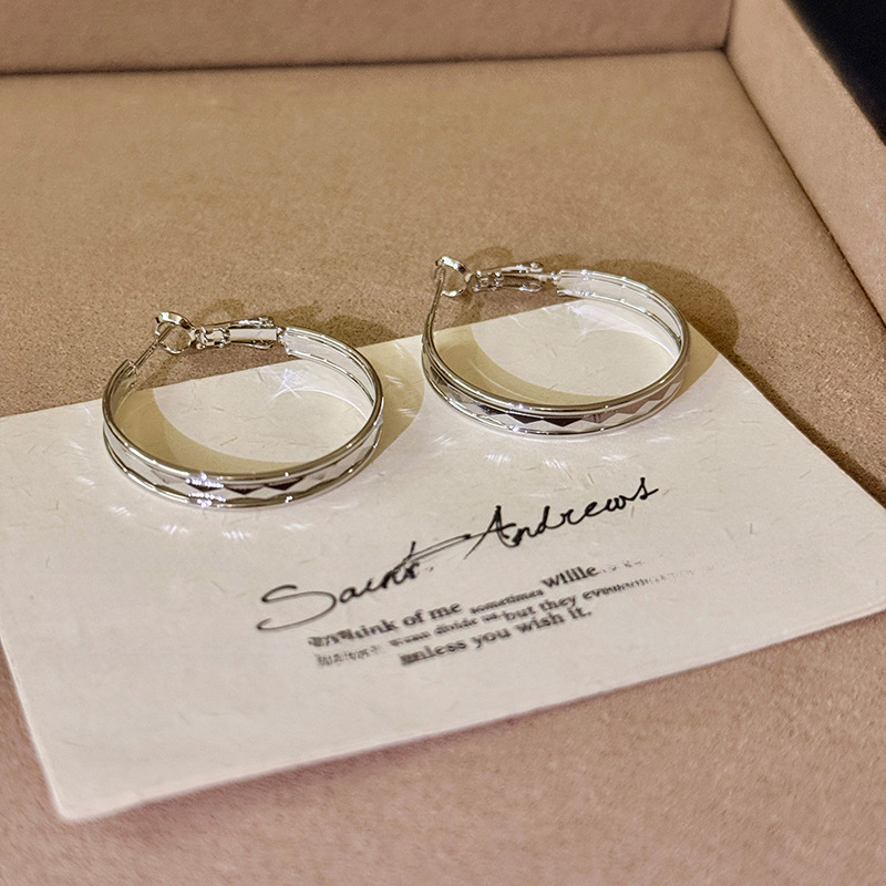Europa y los Estados Unidos transfronterizos agujas de plata aretes de metal fríos aretes de estilo estilo universal simple aretes de diseño de nicho