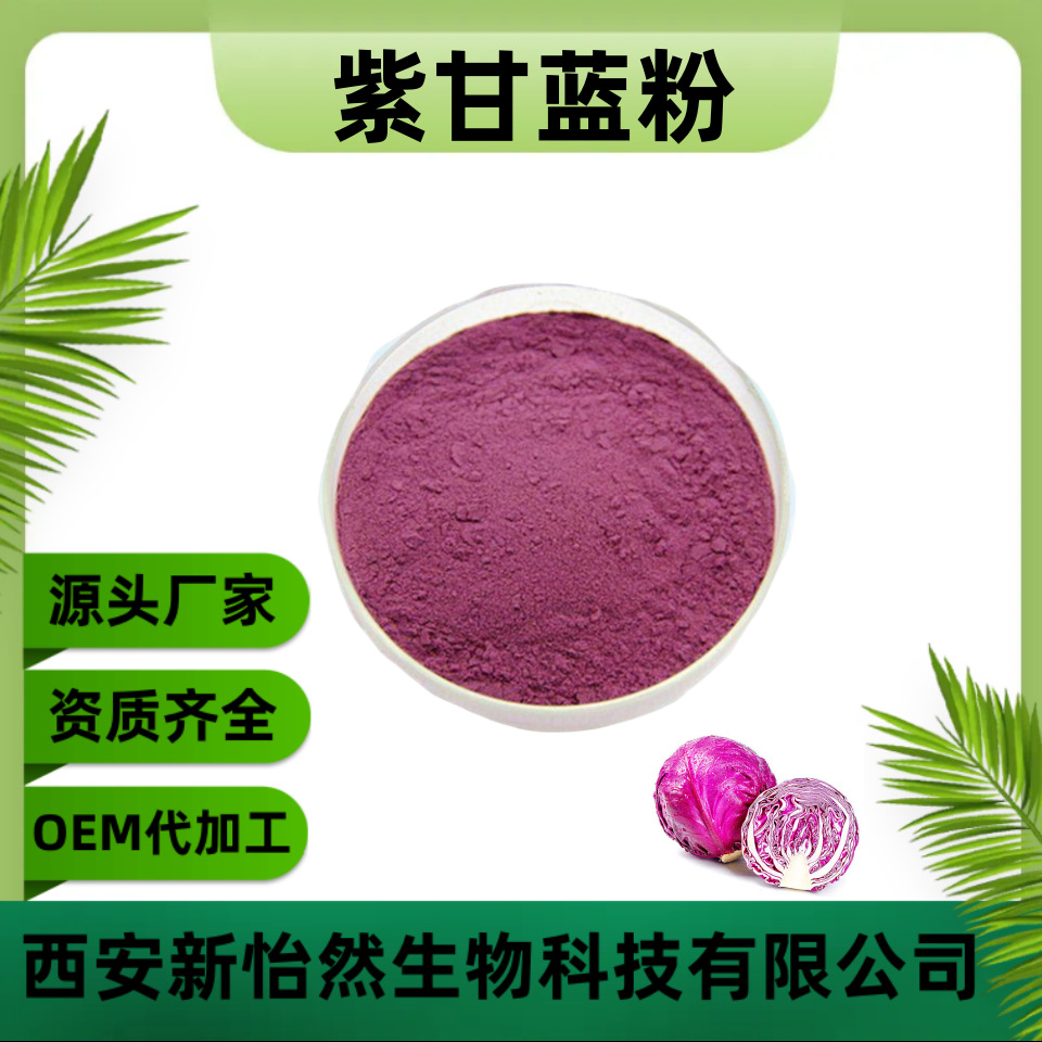 紫甘蓝粉99% 紫甘蓝提取物 原料  脱水蔬菜粉  厂家供应现货