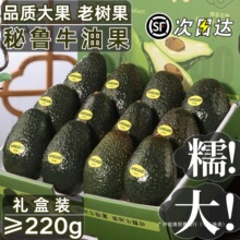 秘鲁牛油果新鲜水果进口哈斯鳄梨山姆树熟墨西云长哥南官方旗舰店