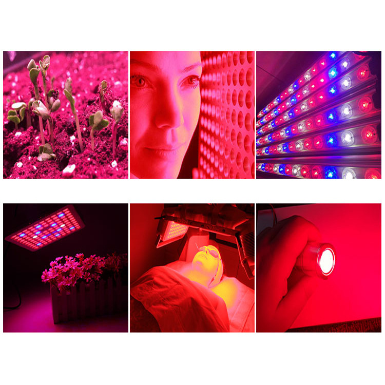 ����3535���led���� 660nmֲ����� ����3Wֲ����3535����