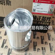 DCEC|L˹ B5.9-C  Cummins Piston