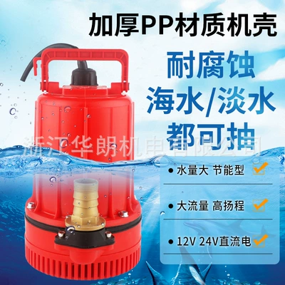 What Outdoor Dc Water Pump Is Used for Spring Farming? Submersible Pump for Watering Flowers and Vegetables, 12V24V, Efficient and Energy-Saving