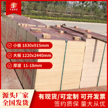 广西建筑模板胶合板 重量轻幅度大周转次数多 厂家批发价格实惠