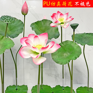 �ɻ�ɏ����~ɏ���͏dPU�ٻ�ˮ���b��쾰�Ĕz���߻�c����