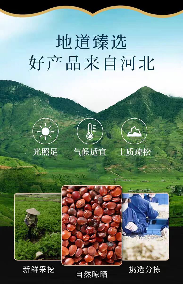 Suan Zao Ren (Ziziphus jujuba var. spinosa) — Dried Wild Jujube Seed for Tea & Soup overview