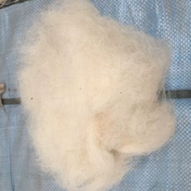 动物毛鬃;羊毛/羊绒被