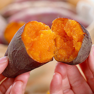 ���rɳ�������t������ϵعϷ���//�����l