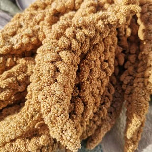 �¹�����ȻС�����W�^��ʳ���������B�Z�}��Z��϶�����쾰�b�