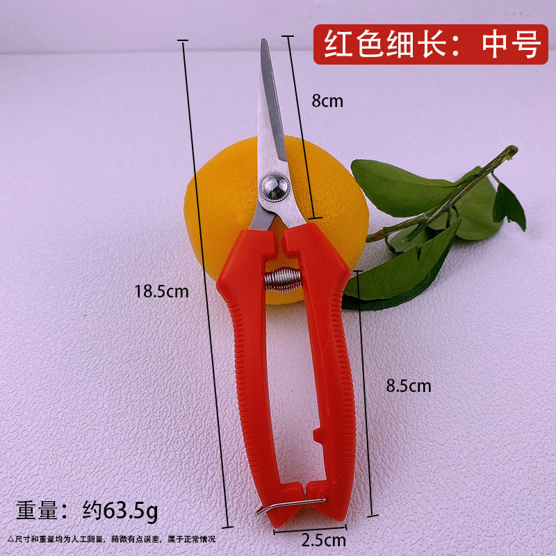 Yangjiang árboles frutales tijeras de corte de ramas de acero inoxidable tijeras de jardinería casera cortar ramas de árboles cortar naranja extraña naranja especial