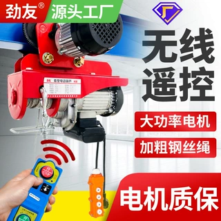 电动葫芦220V带跑车0.5吨1龙门架吊机家用小型提升机升降起重机