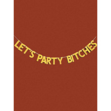 H 28168 Wedding Party Decor Banner �����ɶ�װ�κ���羳