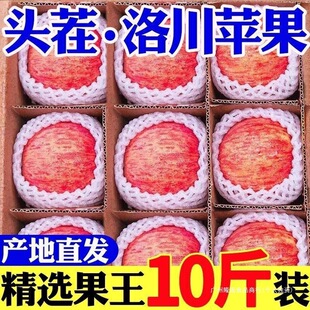 ����������r����������O��һ�崨�t��ʿ�O�����l����ˮ��