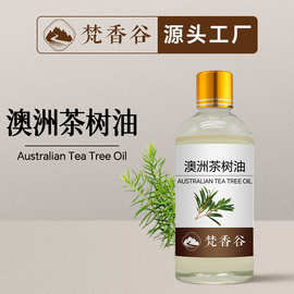 源头工厂天然植物提取澳洲茶树精油单方精油化妆品制香原料批发