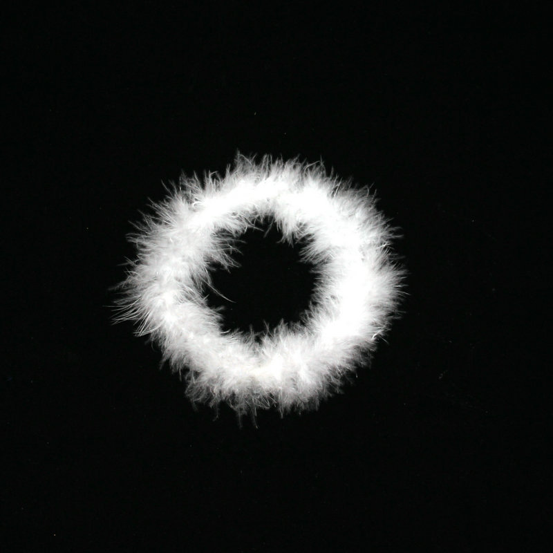 깃털 머리 반지