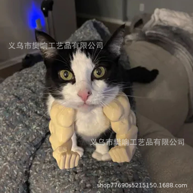 筋肉質の腕を持つ面白い猫面白い筋肉質の手と開発された腕クリエイティブな猫の首飾り|undefined
