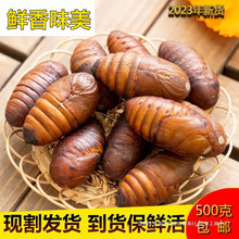 rQӼS]|aʳĴSOӼӸߵҰsӼ