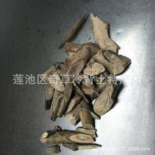 南板蓝根,马蓝,南板兰根,中药材南板蓝根