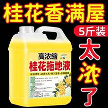 �����ϵ�Һ���g����ذ��坍����ϴҺ�����Ƶ��e�^��Ͱ�b���l