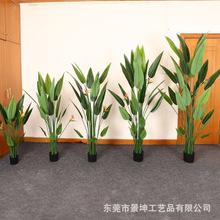 外貿專供仿真美人蕉人造天堂鳥盆栽室內造景綠植高端仿真落地擺件