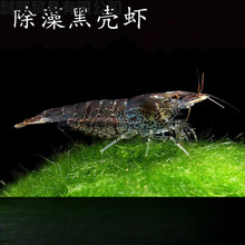 �ښ��r�����坍���幤�߳����^�p���r�����r����ϵ�ˮ���쾰