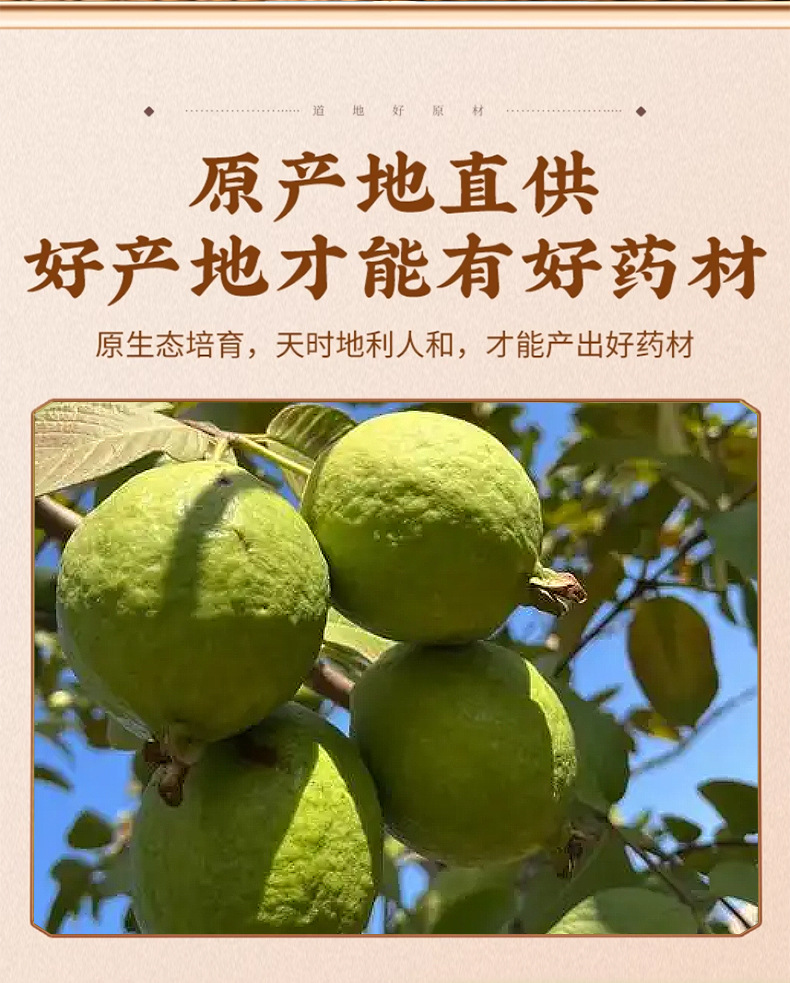 Dried Red Guava Slices Fan Shi Liu Gan Natural Sun Dried Fruit Tea 500g key features