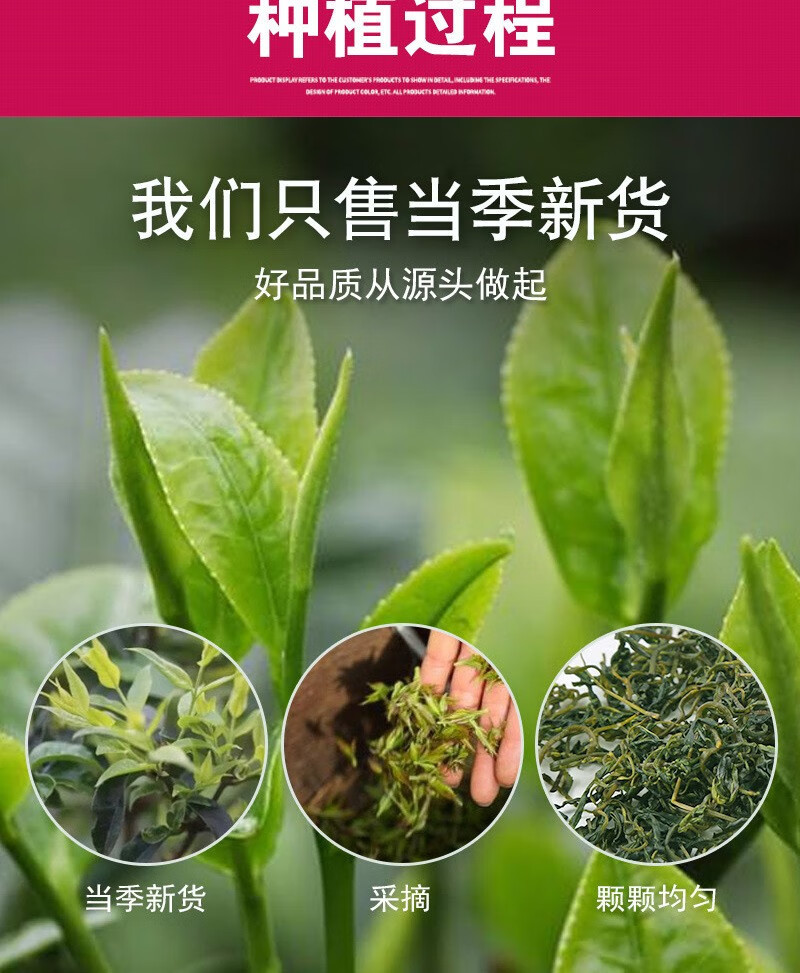 Small Leaf Kuding Tea Ku Ding Cha 500g Dried Loose Leaf Herbal Tea from Sichuan for Daily Brewing specifications